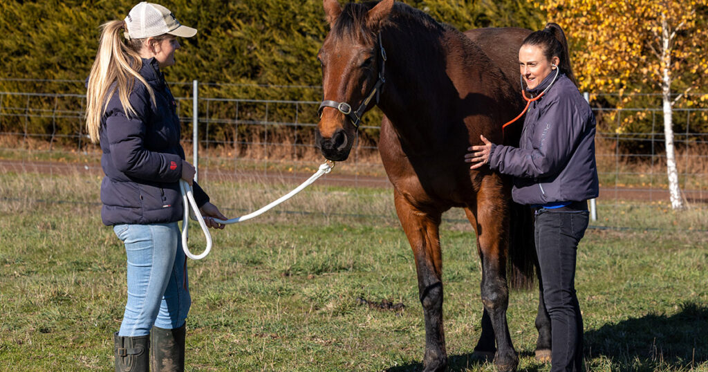 Optim Equine Blog Article Equine asthma & Clenbuterol The harmful side effects