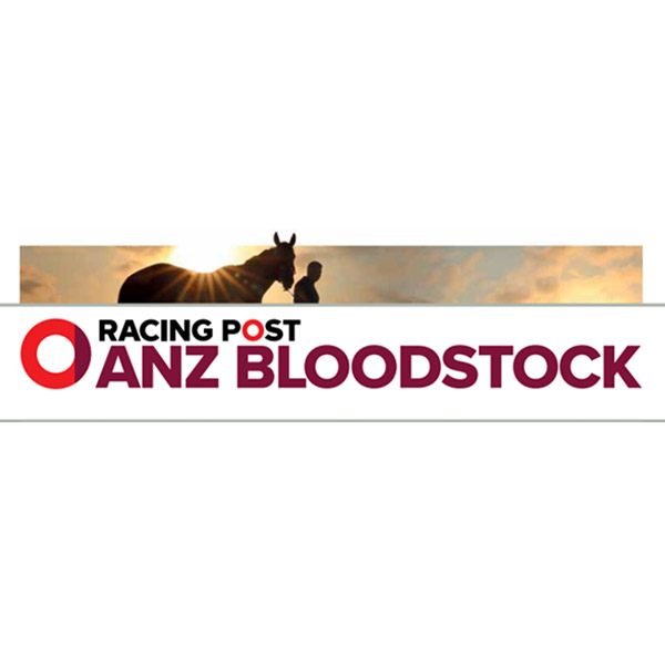 Optim-Equine-Racing-Post-ANZ-Bloodstock-Article