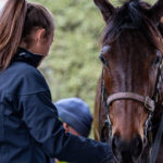 Training-a-Horse’s-Brain-Optim-Equine