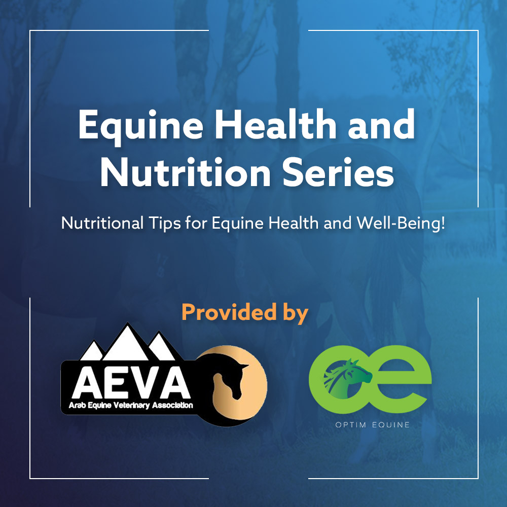Nutritional Tips for Equine Health and Well-Being! As a Vet ,horse owner, or breeder you want to ensure that your equine companion is getting the best