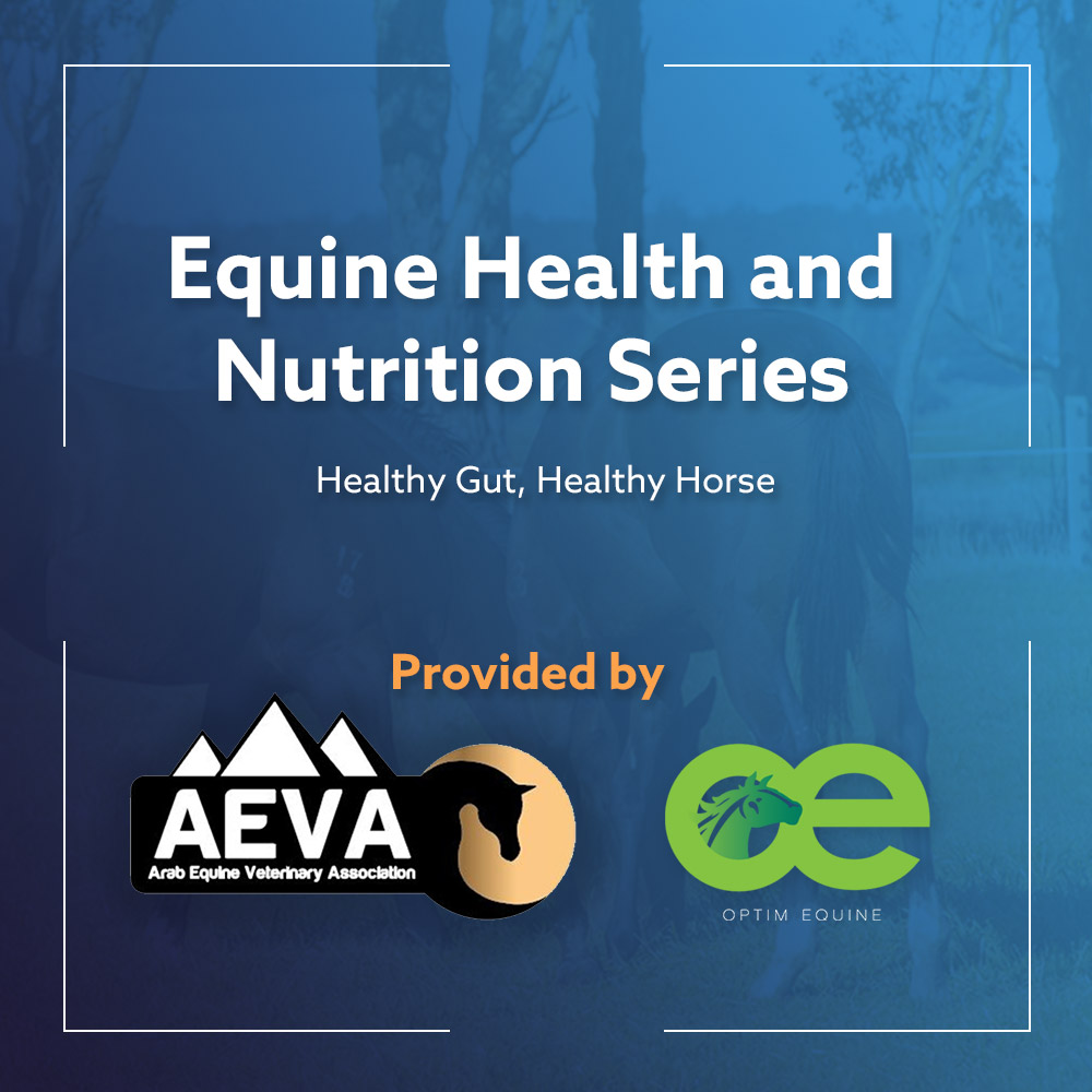 Arab Equine Optim Equine Nutrition Series Healthy Gut Healthy Horse