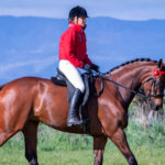 Spring,-Summer-and-More-Riding-Optim-Equine