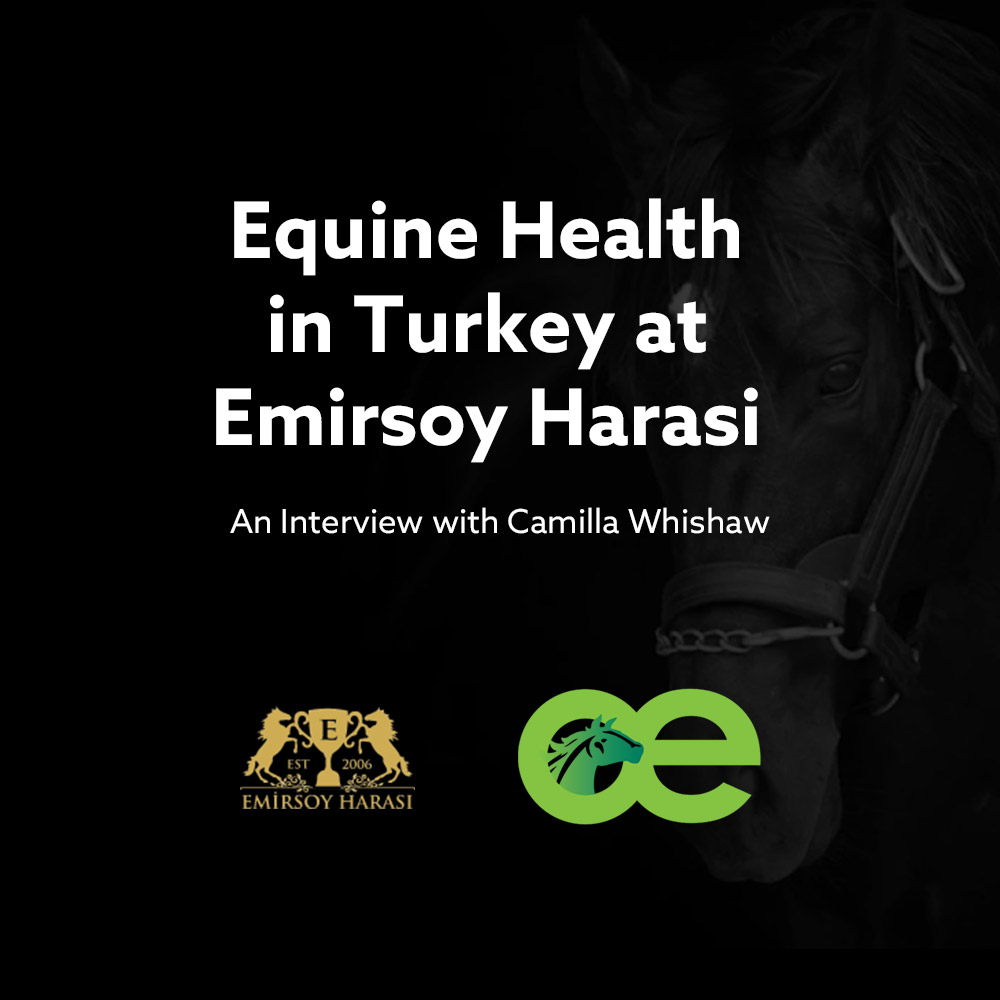 Join host Noah Pape as they explore the Thoroughbred breeding and racing industry in Turkey (Turkiye) with Equine Naturopath Camilla Whishaw. Noah and Camilla discuss the success of Emirsoy Harasi’s stallion Torok;