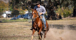 How many bacteria are in a horse’s digestive tract?