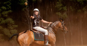 How does our horses gut health influence their behaviour immune function and overall health article by optim equine Camilla Whishaw