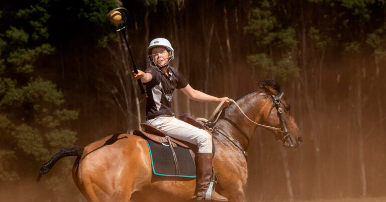 How does our horse’s gut health influence their behaviour, immune function and overall health?