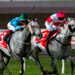 Equine-asthma-in-horses,-the-risks-of-clenbuterol-and-long-term-medication-use
