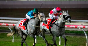 Equine-asthma-in-horses,-the-risks-of-clenbuterol-and-long-term-medication-use