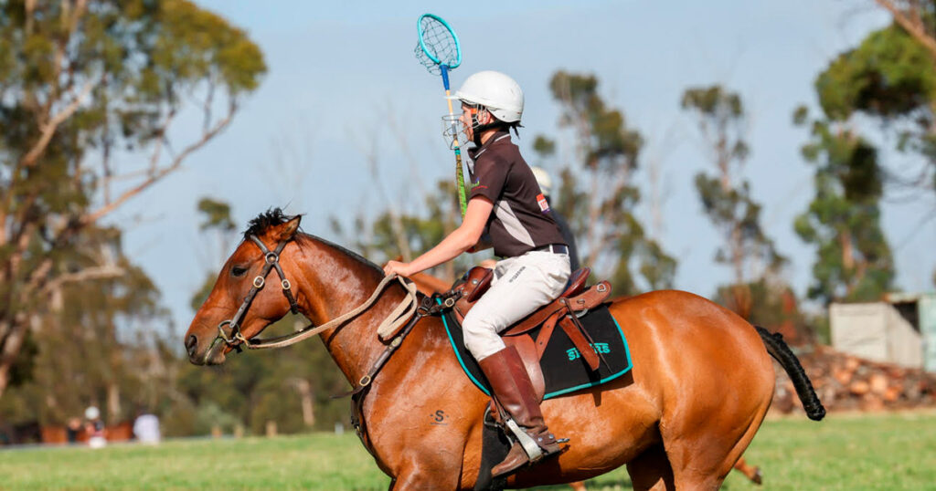 Magnesium in horses, is it helpful? what do I need to know?
