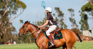 Magnesium in horses, is it helpful? what do I need to know?
