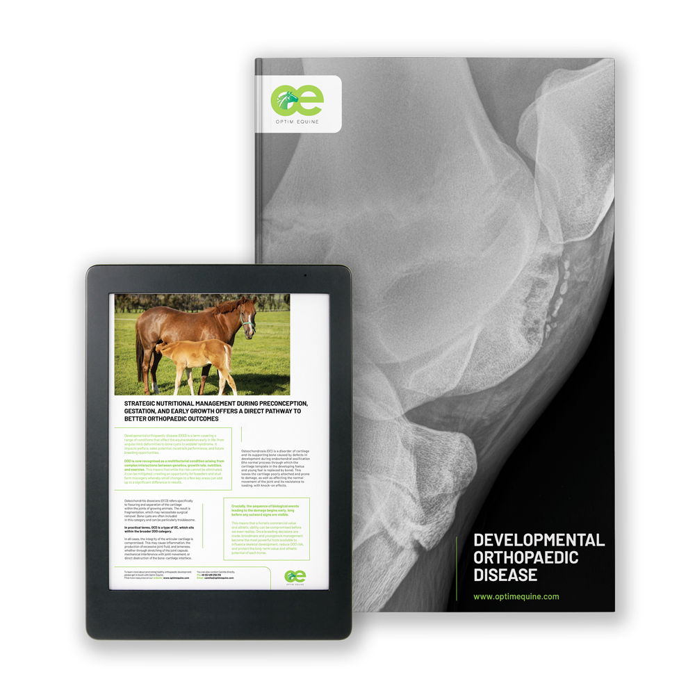 Developmental Orthopaedic Disease (DOD)